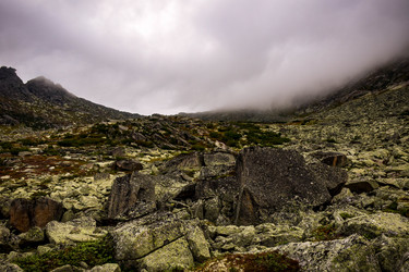 Similar image 21970098