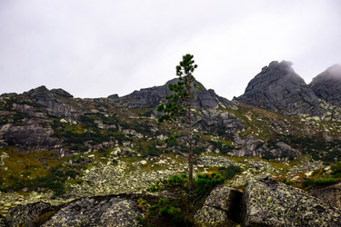 Similar image 21970100