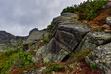 Similar image 21970103