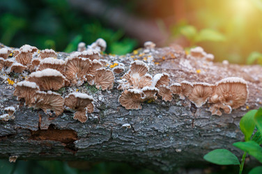 Similar image 21969488