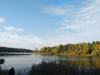 Similar image 21969491