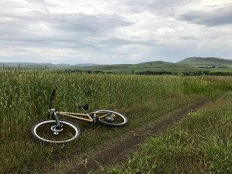 Similar image 21970046