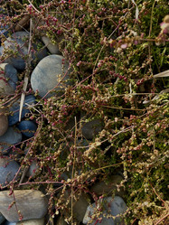 Similar image 21969338