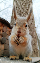 Similar image 21970047