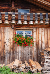 Similar image 21969493