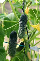 Similar image 21971235