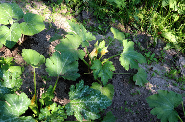 Similar image 21973185