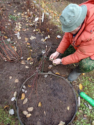 Similar image 21971237