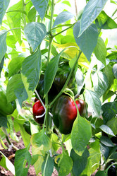 Similar image 21971239