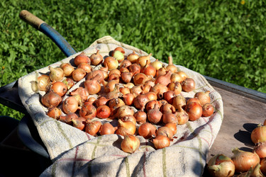 Similar image 21973375