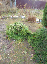 Similar image 21973377