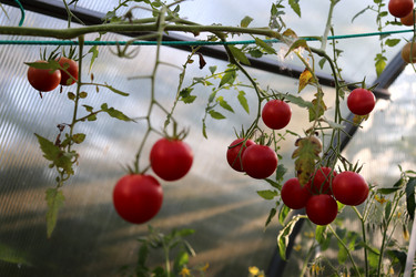 Similar image 21971240