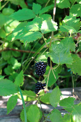 Similar image 21973378