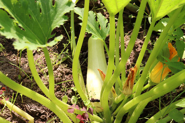 Similar image 21973379