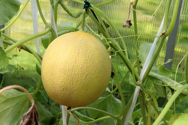 Similar image 21973380