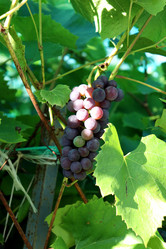 Similar image 21973381