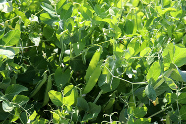 Similar image 21973382