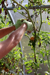 Similar image 21973384