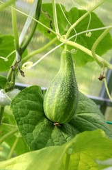 Similar image 21973386