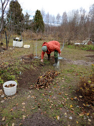 Similar image 21973388