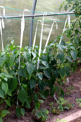 Similar image 21973389