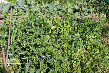 Similar image 21973390