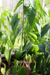 Similar image 21973391