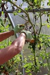 Similar image 21973393