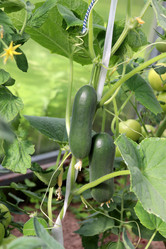 Similar image 21973394