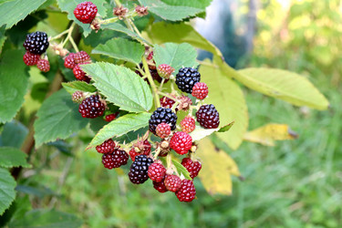 Similar image 21973395