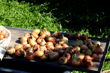 Similar image 21973396