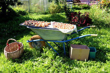 Similar image 21971241