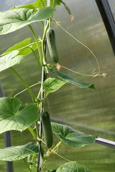 Similar image 21973400