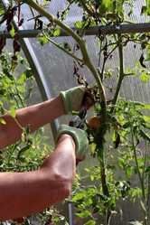 Similar image 21971242