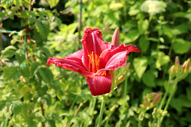 Similar image 21971244