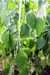 Similar image 21973401