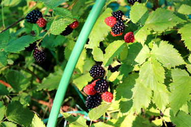 Similar image 21971245