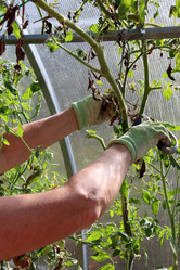 Similar image 21973402