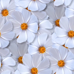 Similar image 21969500