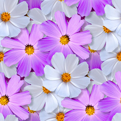 Similar image 21969501