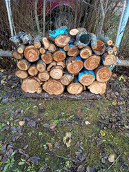 Similar image 21971247