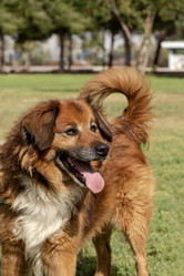 Similar image 21974873