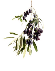 Similar image 21973190