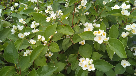 Similar image 21973198