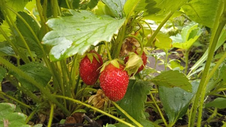 Similar image 21973202