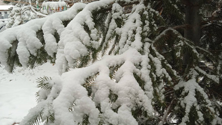 Similar image 21973203