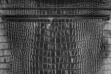 Similar image 21970940