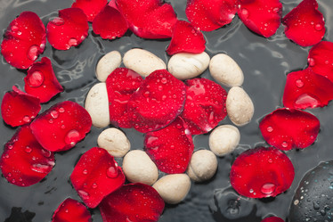 Similar image 21970946