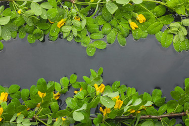 Similar image 21970961