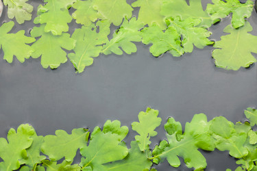 Similar image 21970965